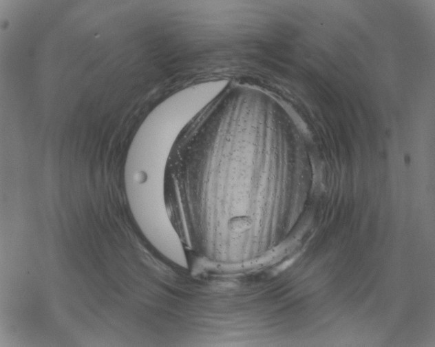 X0000068890574200605261849