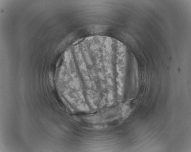 X0000068890575200605261849