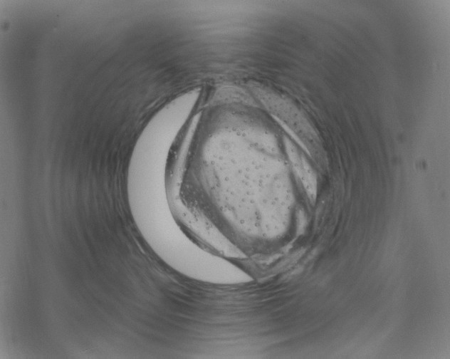 X0000068890576200605261849