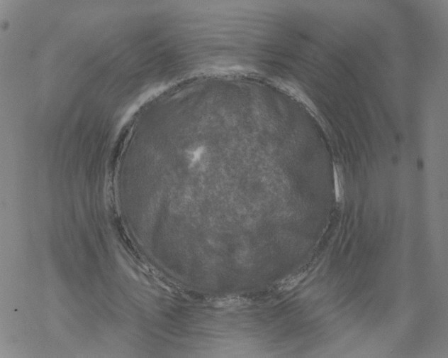 X0000068890579200605261848