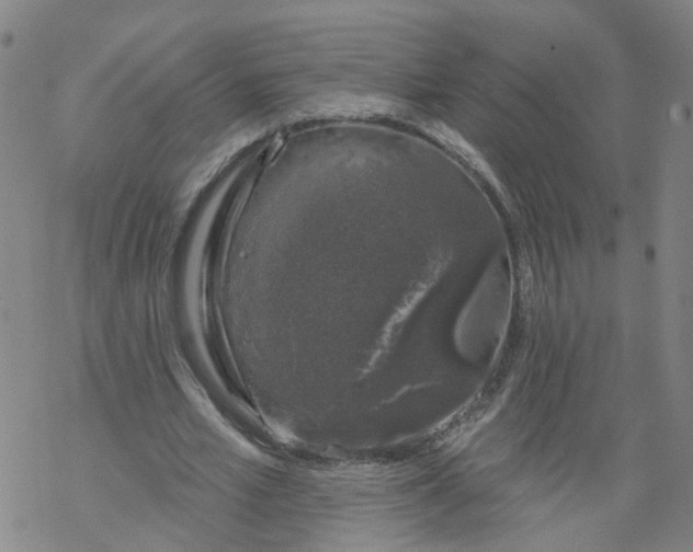 X0000068890581200605261848