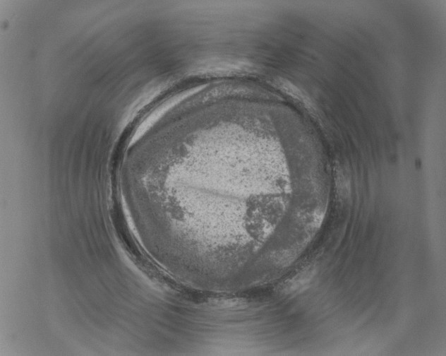 X0000068890582200605261848