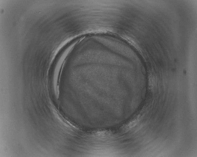 X0000068890584200605261848