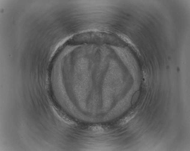 X0000068890588200605261848