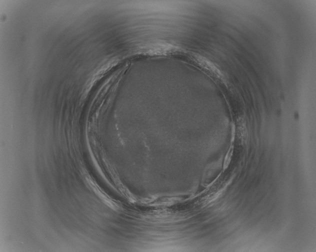 X0000068890589200605261848