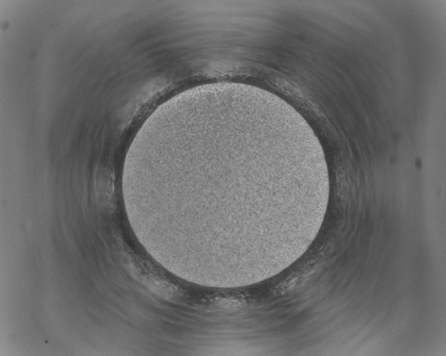 X0000068890592200605261848