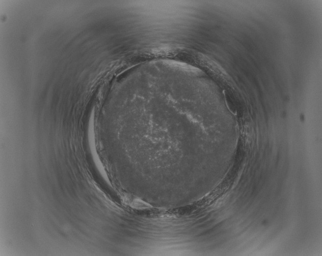 X0000068890593200605261848