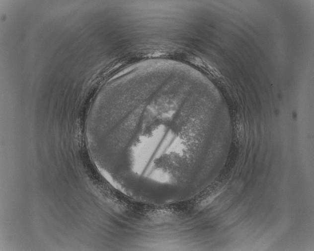 X0000068890594200605261848