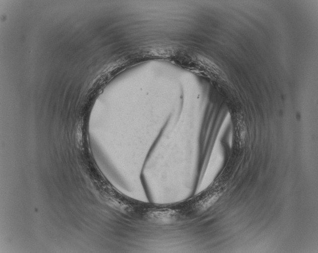 X0000068890595200605261848