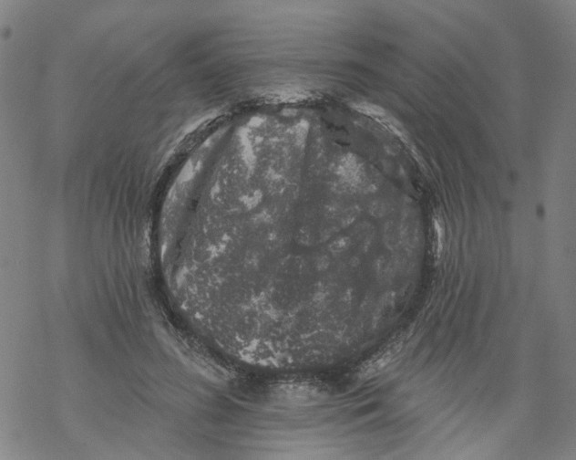 X0000068890596200605261848