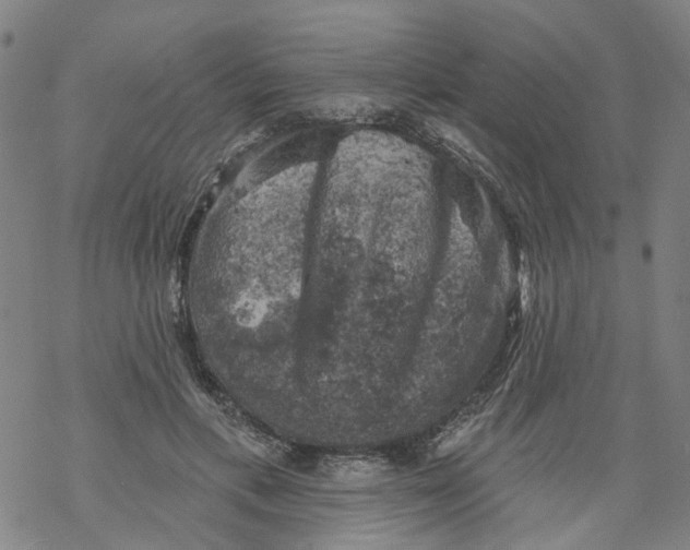 X0000068890597200605261848