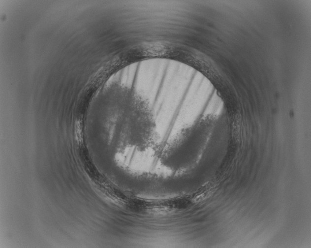 X0000068890598200605261848