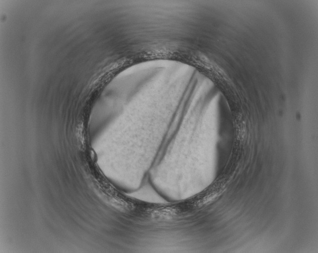 X0000068890599200605261848