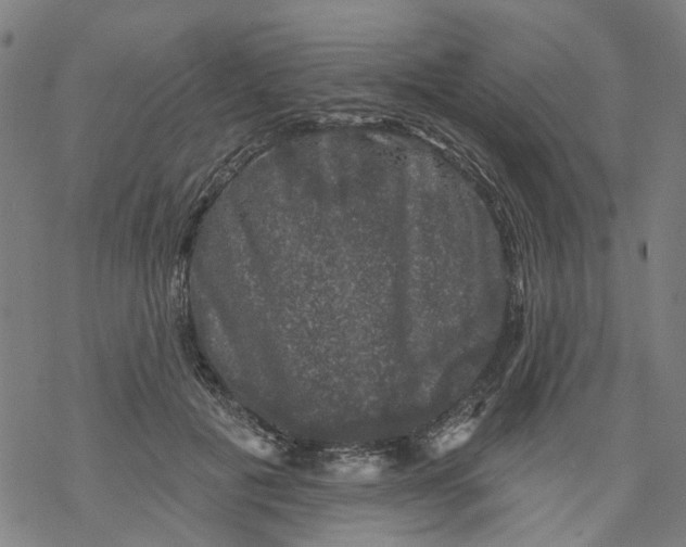 X0000068890601200605261847