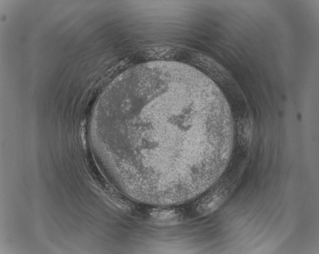 X0000068890602200605261847