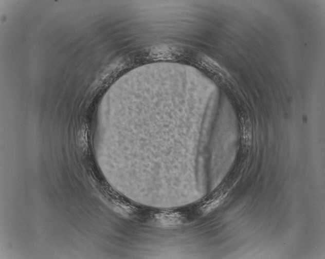 X0000068890603200605261847