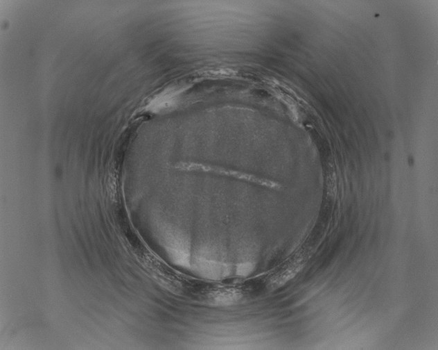 X0000068890604200605261847