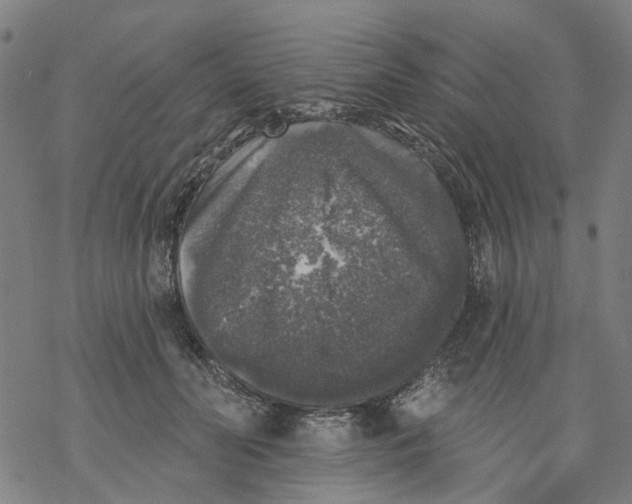 X0000068890606200605261847