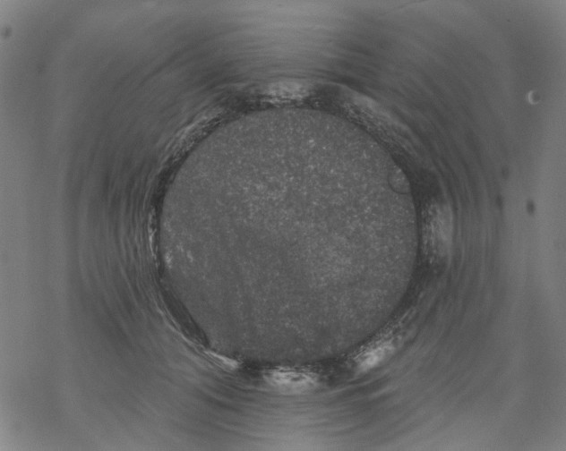 X0000068890608200605261847