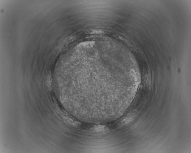 X0000068890609200605261847