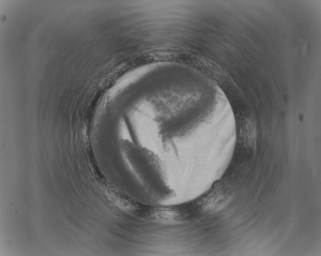 X0000068890610200605261847