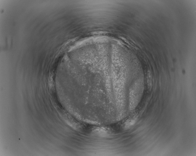 X0000068890611200605261847