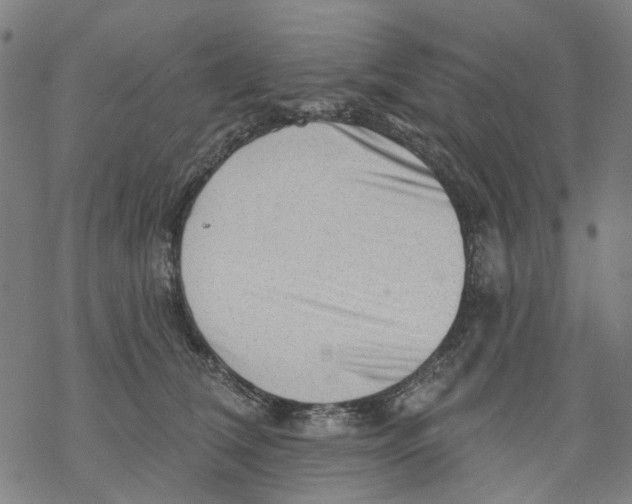 X0000068890612200605261847