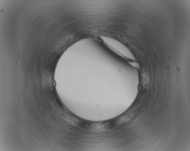 X0000068890613200605261847