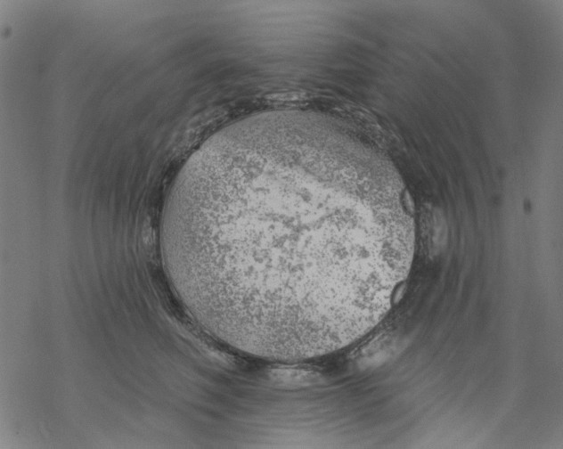 X0000068890614200605261847