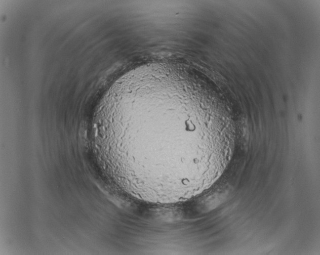 X0000068890615200605261847