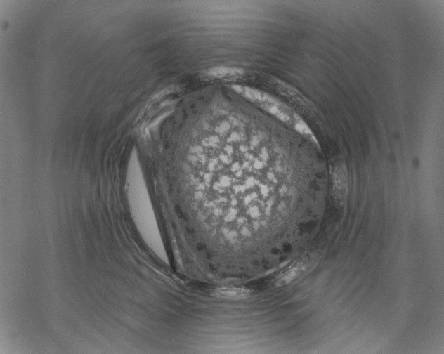 X0000068890617200605261847