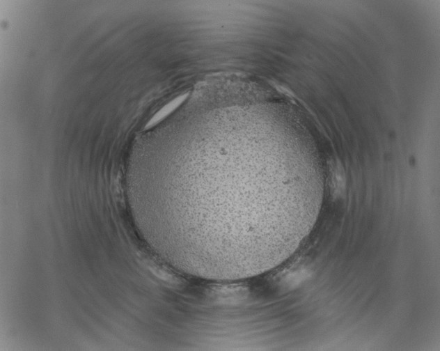 X0000068890619200605261847