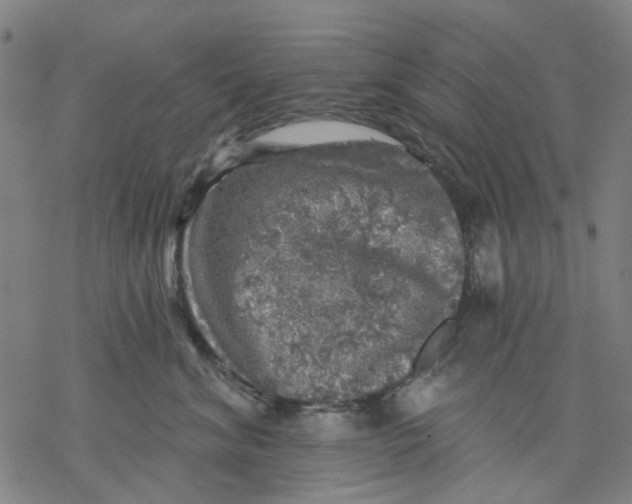 X0000068890620200605261847