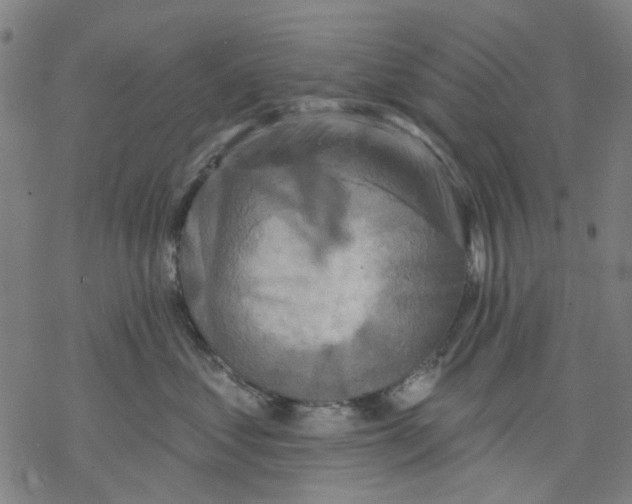 X0000068890621200605261847