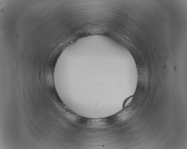 X0000068890622200605261847