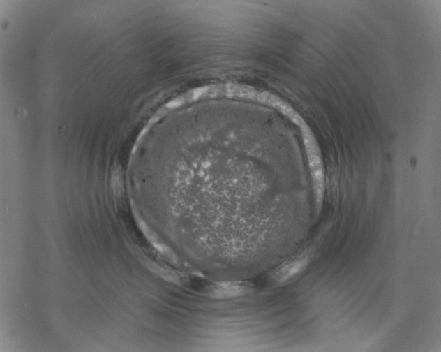 X0000068890623200605261847