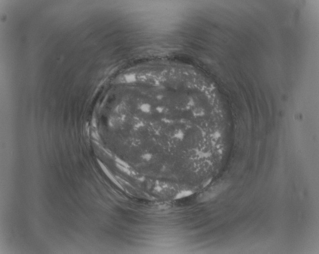 X0000068890624200605261847