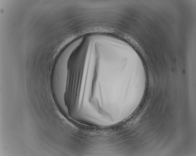 X0000068890625200605261846