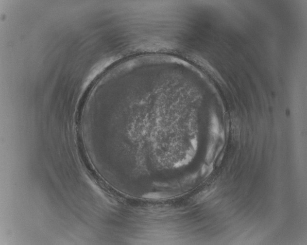 X0000068890626200605261846