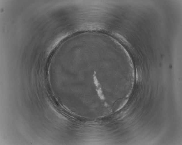 X0000068890627200605261846