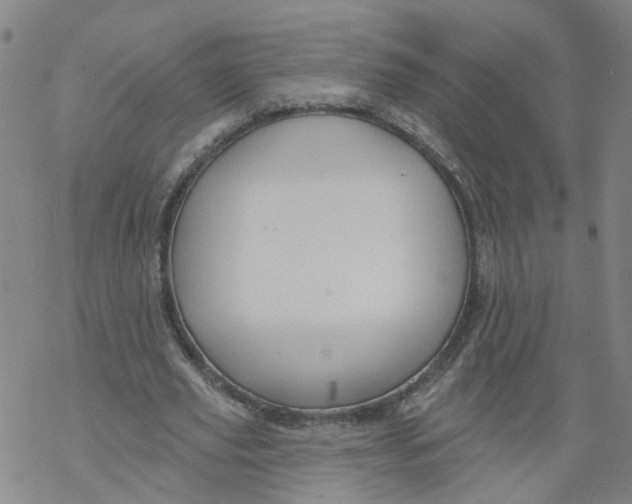 X0000068890629200605261846