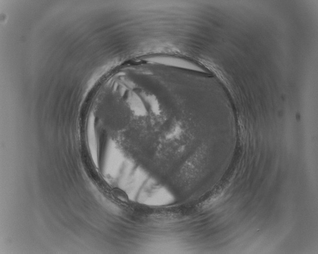 X0000068890630200605261846