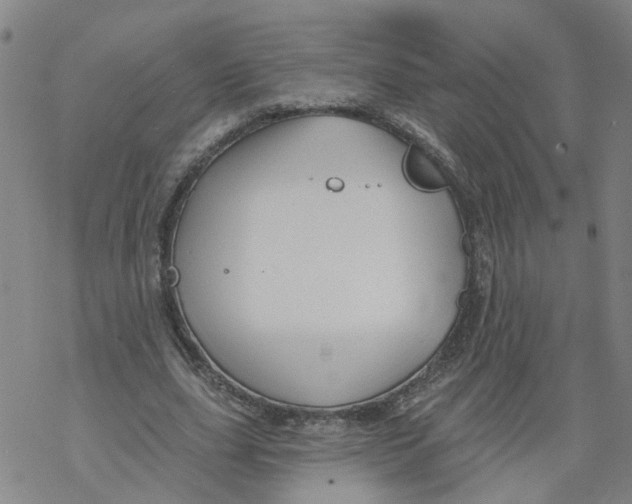 X0000068890631200605261846