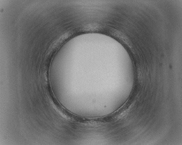 X0000068890633200605261846