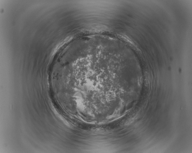 X0000068890634200605261846