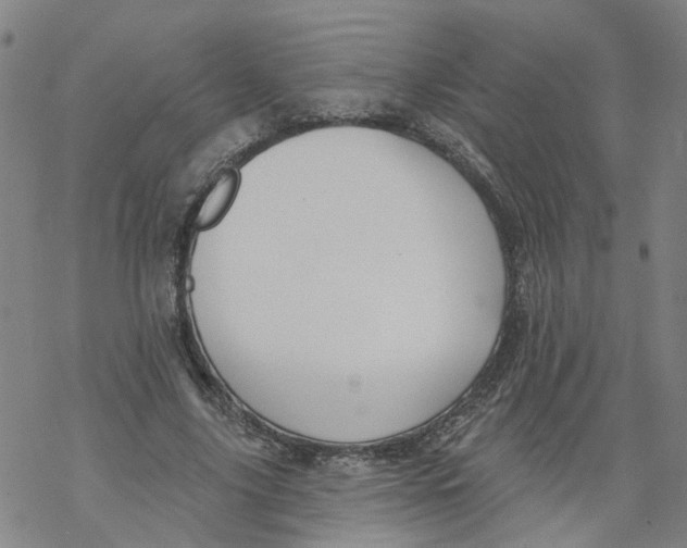 X0000068890635200605261846