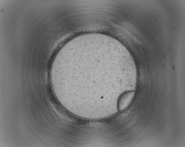 X0000068890636200605261847