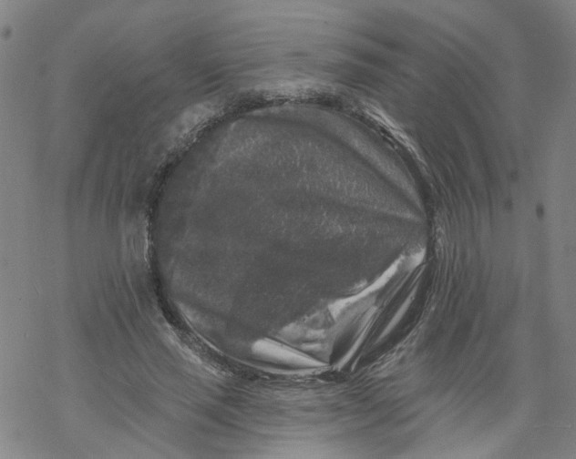 X0000068890637200605261847