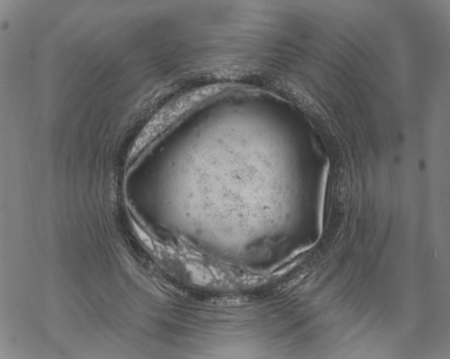 X0000068890639200605261847