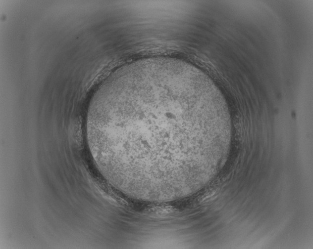 X0000068890642200605261847